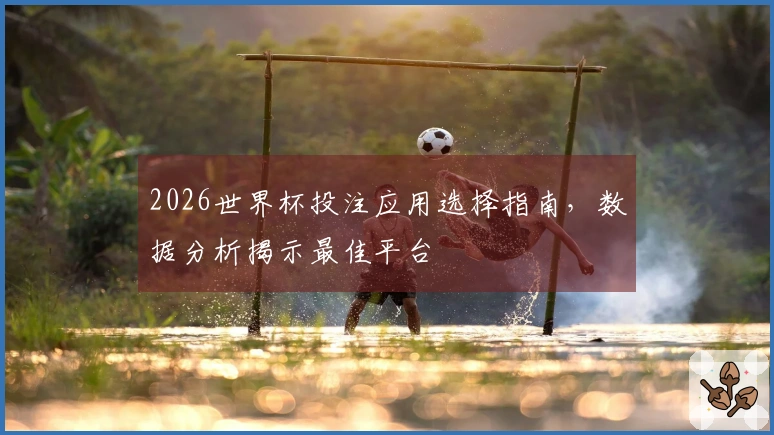 2026世界杯投注应用选择指南，数据分析揭示最佳平台