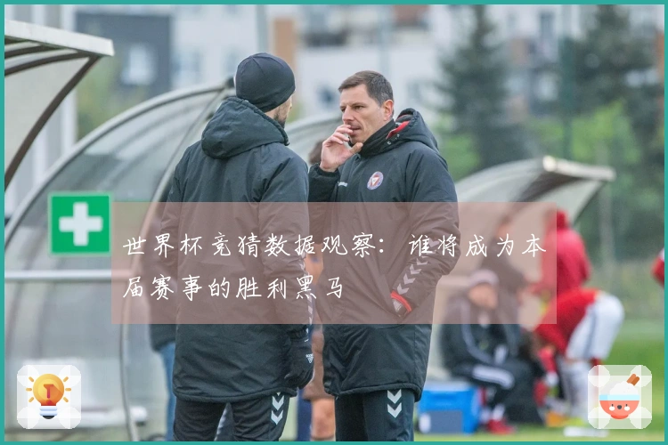 世界杯竞猜数据观察：谁将成为本届赛事的胜利黑马