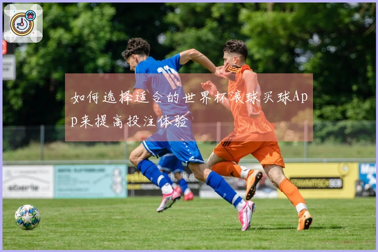 如何选择适合的世界杯滚球买球App来提高投注体验