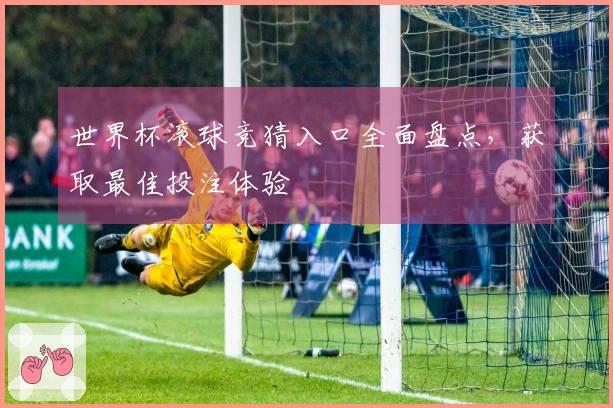 世界杯滚球竞猜入口全面盘点，获取最佳投注体验