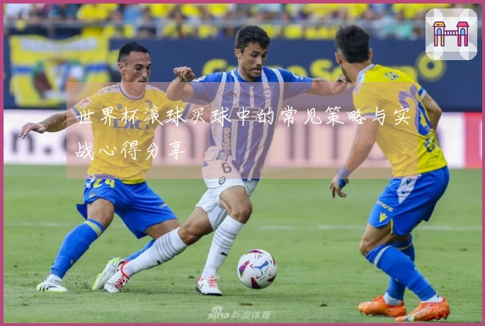 世界杯滚球买球中的常见策略与实战心得分享