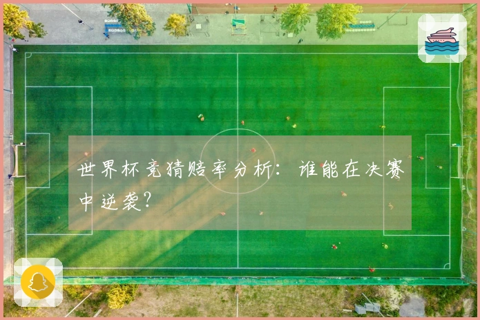 世界杯竞猜赔率分析：谁能在决赛中逆袭？