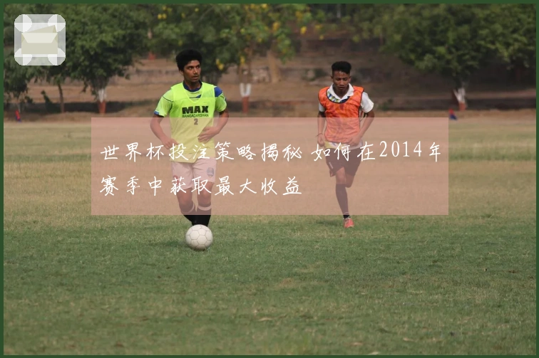 世界杯投注策略揭秘 如何在2014年赛季中获取最大收益