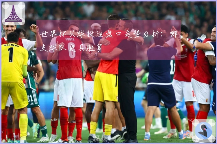 世界杯买球投注盘口走势分析：哪支球队更具胜算