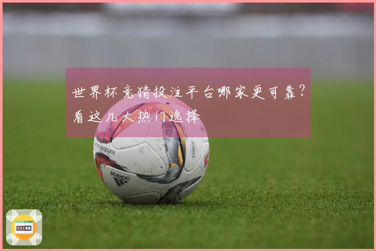 世界杯竞猜投注平台哪家更可靠？看这几大热门选择