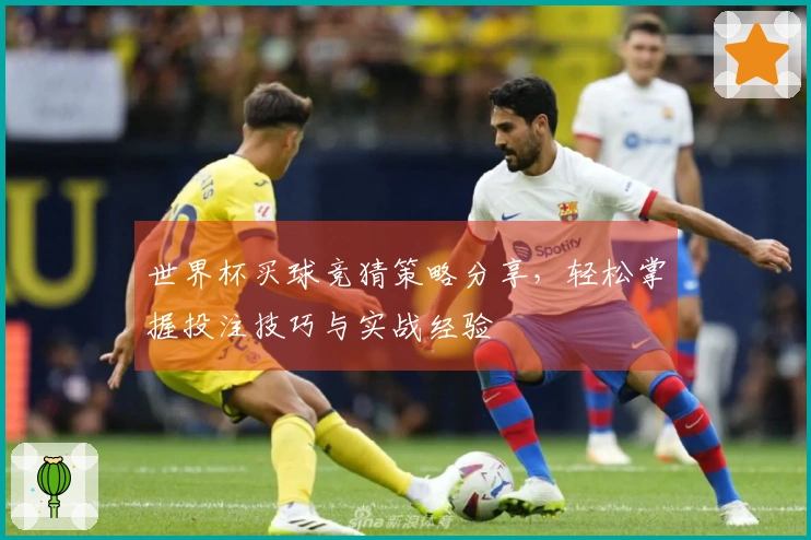 世界杯买球竞猜策略分享，轻松掌握投注技巧与实战经验