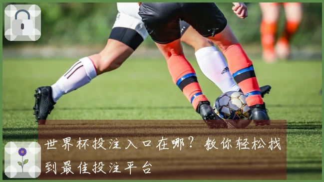 世界杯投注入口在哪？教你轻松找到最佳投注平台
