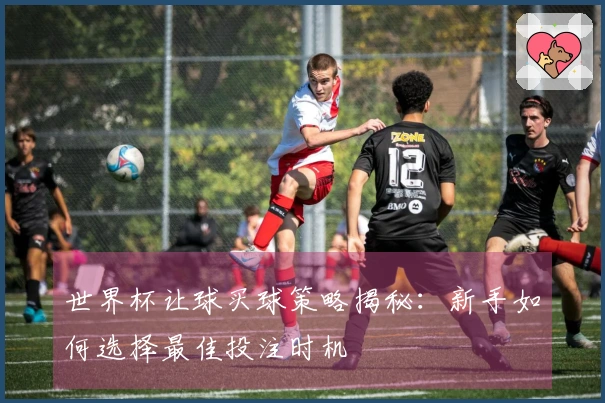 世界杯让球买球策略揭秘：新手如何选择最佳投注时机