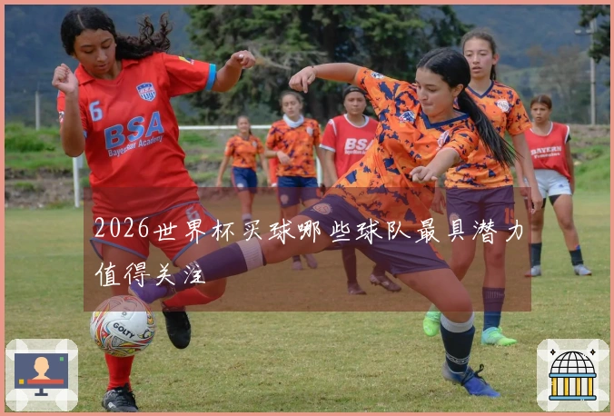 2026世界杯买球哪些球队最具潜力值得关注
