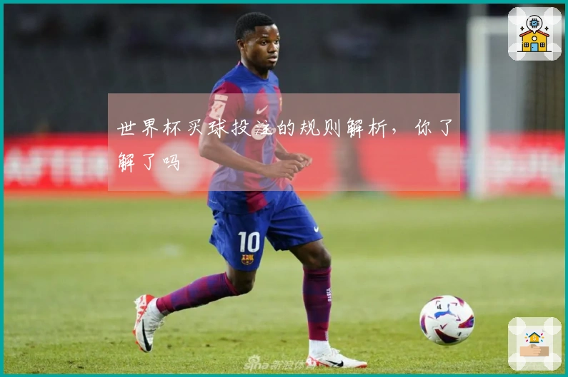世界杯买球投注的规则解析,你了解了吗