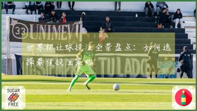 世界杯让球投注全景盘点：如何选择最佳投注策略