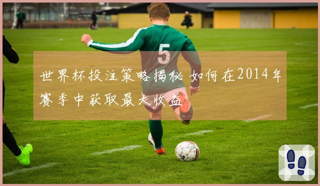 世界杯投注策略揭秘 如何在2014年赛季中获取最大收益