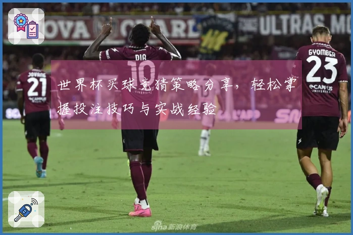世界杯买球竞猜策略分享，轻松掌握投注技巧与实战经验